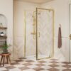 Aqua Silver 700mm Pivot Door - Brushed Brass