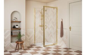 Aqua Silver 800mm Pivot Door - Brushed Brass