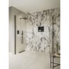 Aqua Platinum 800mm Wetroom Side Panel & Arm - Gunmetal