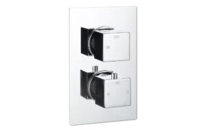 Ashby Thermostatic Single Outlet Twin Shower Valve - Chrome