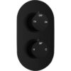 Grove Thermostatic Two Outlet Twin Shower Valve - Matt Black