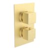 Ashby Thermostatic Single Outlet Twin Shower Valve - Brushed Brass