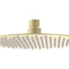 Grove 200mm Round Ultraslim Showerhead - Brushed Brass