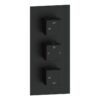 Ashby Thermostatic Two Outlet Triple Shower Valve - Matt Black