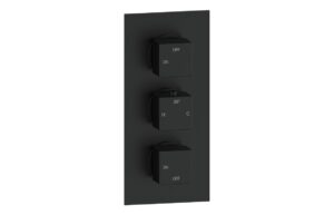 Ashby Thermostatic Two Outlet Triple Shower Valve - Matt Black