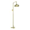 Beverley Concentric Single Outlet Shower Valve & Overhead Kit Pack 2 - Brushed Brass