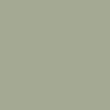 Fibo Signature - Olive Green (Plain Panel) - Single